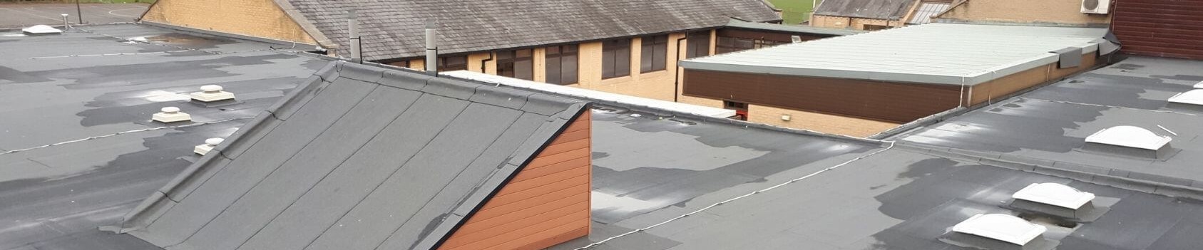 Bighouse roof resized