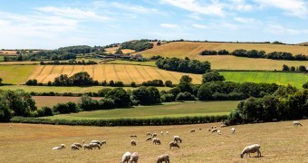 A rural Isle of Wight farm landscape