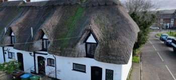 1 Ballards Row   back garden