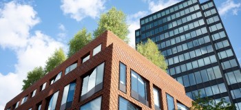 Commercial buildings with greenery