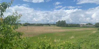 e2c0859a c4d4 47e3 857c 481c35d576a1_web