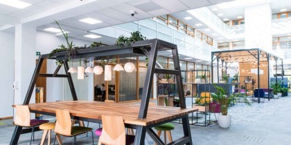 151db374 742a 4e43 9f05 21f982c40637_web