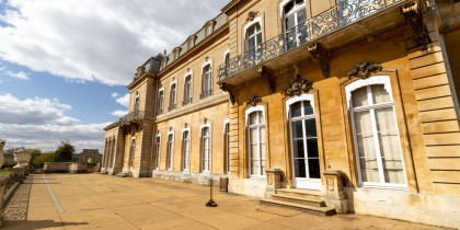 00849110 31c8 4d4a 942a 81ba0e8f51c2_web