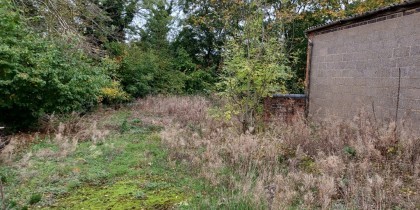 9ec54672 2240 4881 ace1 edb1e92fbe26_web