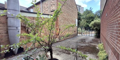 b3174b54 c0c0 45c8 9f7f 97f870a25983_web