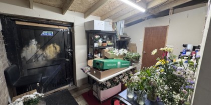 9e251655 5f1b 4b36 8546 d6c2b59d0a65_web