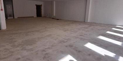 7d807ece d4e5 4523 a80c 7c7cb9ba5bcc_web