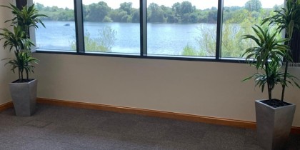 50fa25a7 b6fe 42fa 969b 60b1504c633a_web