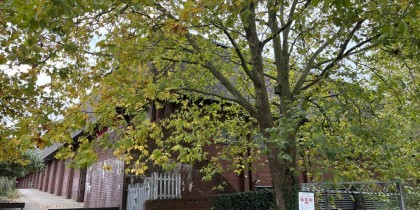 8308b964 aedb 403a 9282 7366f9ca49ad_web