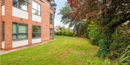 11caec46 c600 445d 92e9 d86be904de22