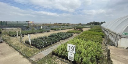 3be7343f 4071 464c 9f43 3b816b721538_web