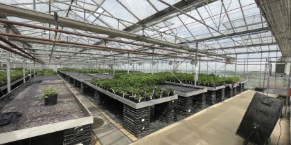 6a0c40af 5bdb 4337 b08d 32797a29e7ec_web