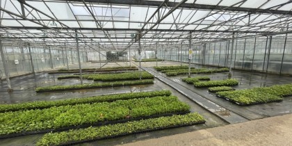 c3ffacab d272 4b1d 8631 1fe8dcc3bf32_web