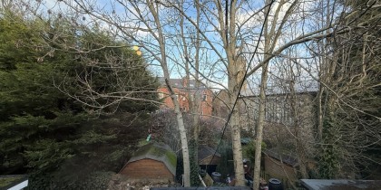 9a299cfa e341 4e93 b759 66ff85ccab4e_web