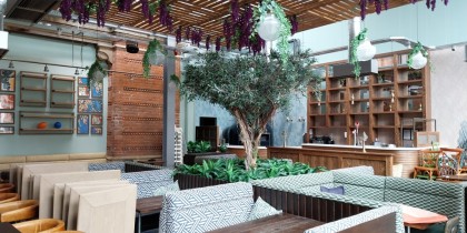 33495654 af96 44df bcdd 4689529085da_web