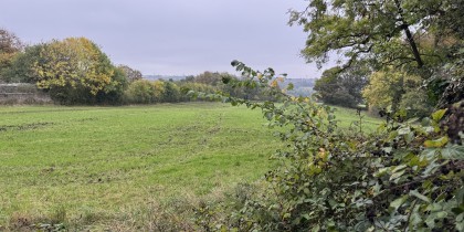 868f425b a0ff 4bc6 bc1f e192827f60c2