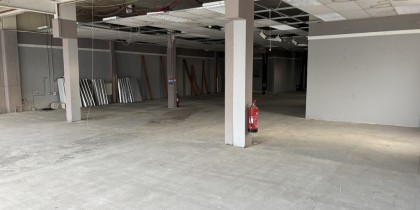 8d95f9ca 0666 4a85 925d 7c776fef3bc8_web