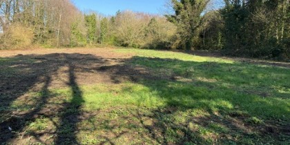 53767daa 9032 491f 8771 c861c596d2d8_web