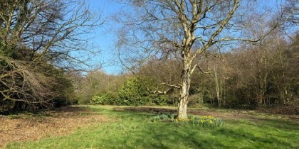 a27cb536 3674 4496 ba7f 07e34fd5cc96_web