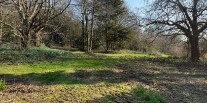 b7e6233f 039d 459e aeeb 9b11f950be22_web