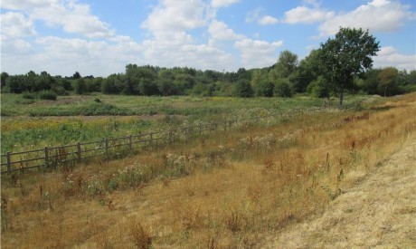 1666018b e14c 4312 9baf f5f9ae82f841_web