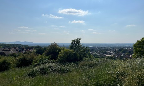 0a613ac4 d857 4407 a119 8308e0ebc168_web