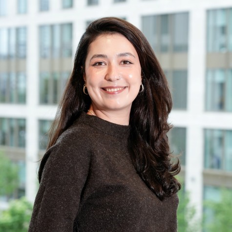 Damla Ersan