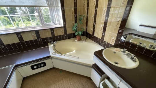 Hope Cottage, Private Walk, Chester, Cheshire, CH3 5XB   bathroom