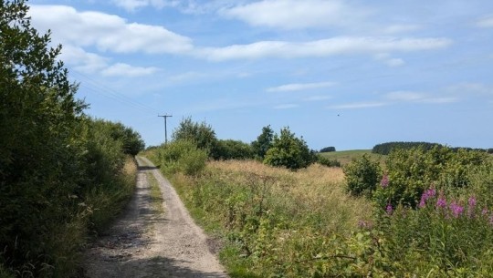 Land On The West Side Of Whites Cut   road