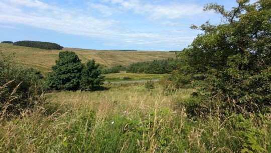 Land On The West Side Of Whites Cut   view