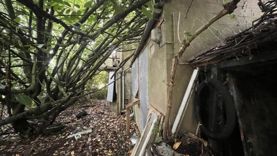 Property Auctions   September 2025   West View   bushes