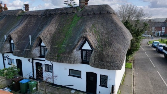 1 Ballards Row   back garden