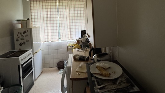 BTGEPA   9 Masefield Court, 16 Lovelace Road, Surbiton KT6 6NH   kitchen