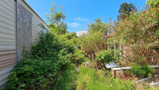 BTGEPA   16 Knowle Road   garden