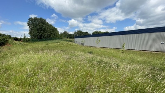 Property Auctions   Development Land At Roundhay Road   field