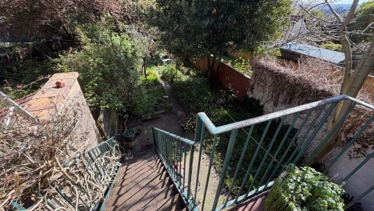 Property Auctions   122 Richmond Road   garden