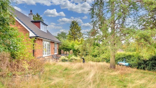 Property Auctions   43 Bridle Road   garden