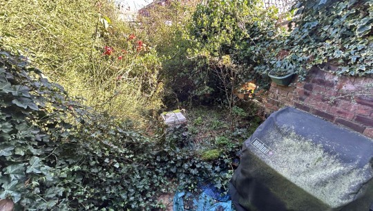 Property Auctions   669 Ashton Road   garden