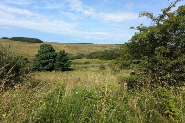 Land On The West Side Of Whites Cut   view