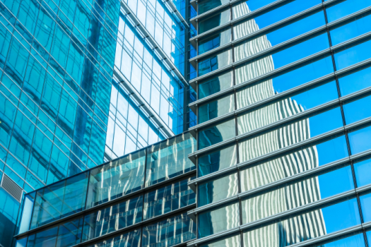 management and insurance