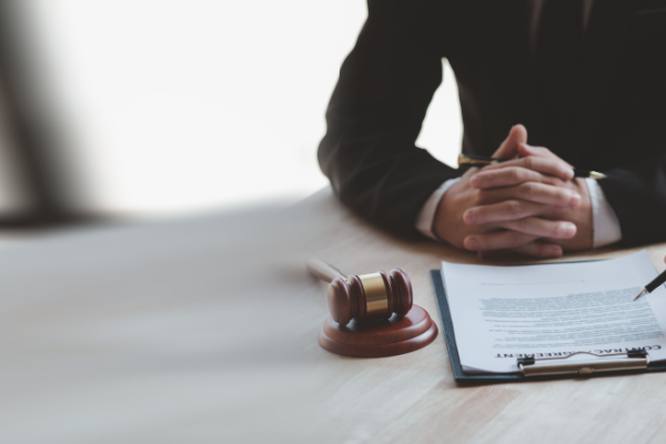 expert witness 2