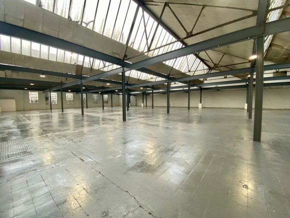 373e8195 c83c 4952 ac16 96b0bf7d6b0d_web