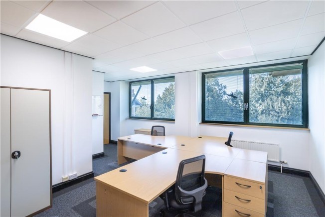 3d5559e8 ac3d 4af9 b25d bef426def086_web