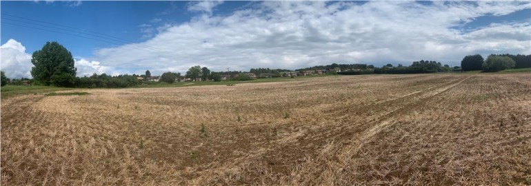 1ce03637 4a3a 47f4 ae35 cd878bbc84c7_web