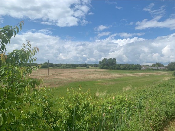 e2c0859a c4d4 47e3 857c 481c35d576a1_web