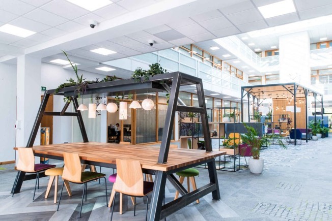 151db374 742a 4e43 9f05 21f982c40637_web