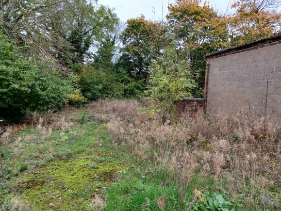 9ec54672 2240 4881 ace1 edb1e92fbe26_web