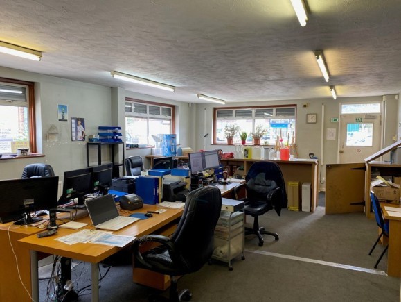 d3d274b8 6606 44f6 bd90 2cf82e77aa0f_web