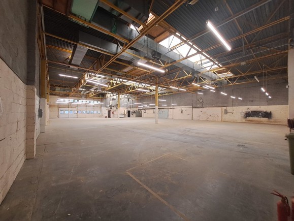 a3b7f223 d33b 486e 905e 54d89f59b687_web