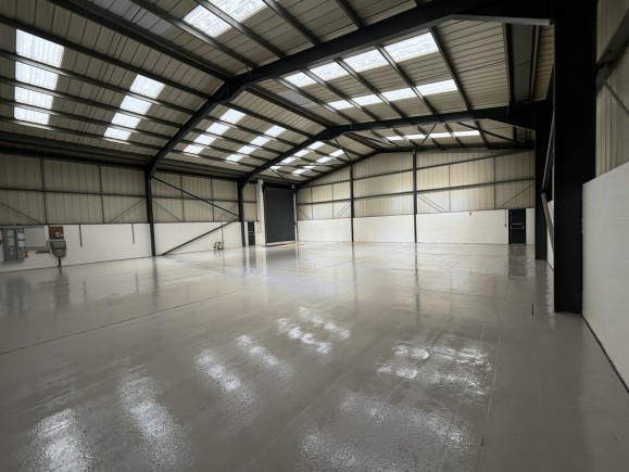 99660936 fde8 4133 9271 22881da9301f_web